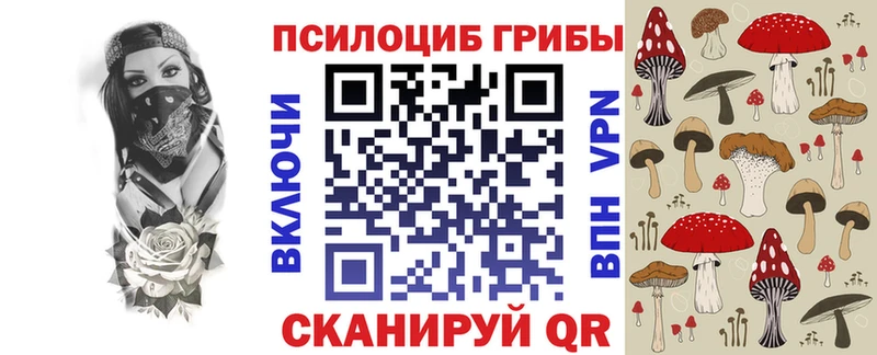 Псилоцибиновые грибы GOLDEN TEACHER  kraken маркетплейс  Далматово  где найти наркотики 
